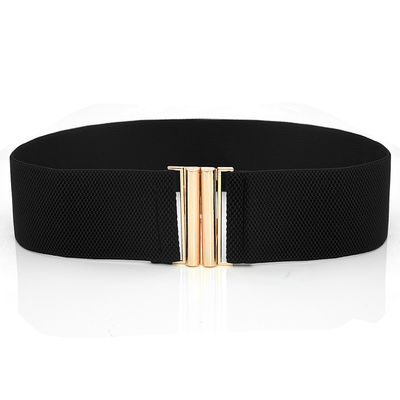 Blue Clasp Elastic Cinch Belt Garment Womens Fancy Dress Belts
