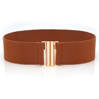 Blue Clasp Elastic Cinch Belt Garment Womens Fancy Dress Belts