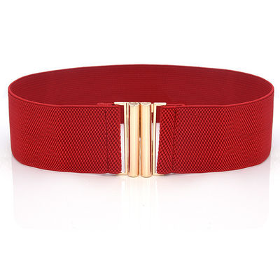 Blue Clasp Elastic Cinch Belt Garment Womens Fancy Dress Belts