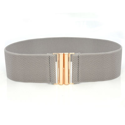 Blue Clasp Elastic Cinch Belt Garment Womens Fancy Dress Belts