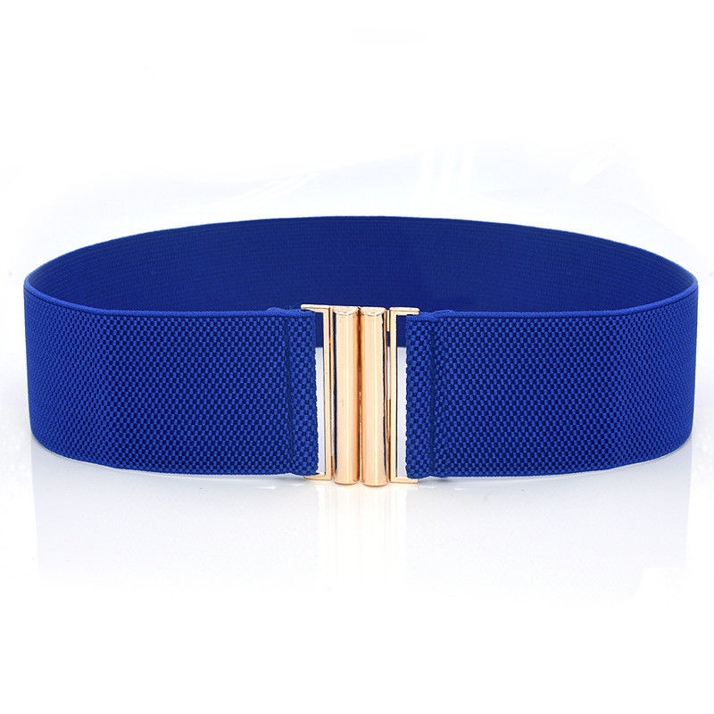 Blue Clasp Elastic Cinch Belt Garment Womens Fancy Dress Belts